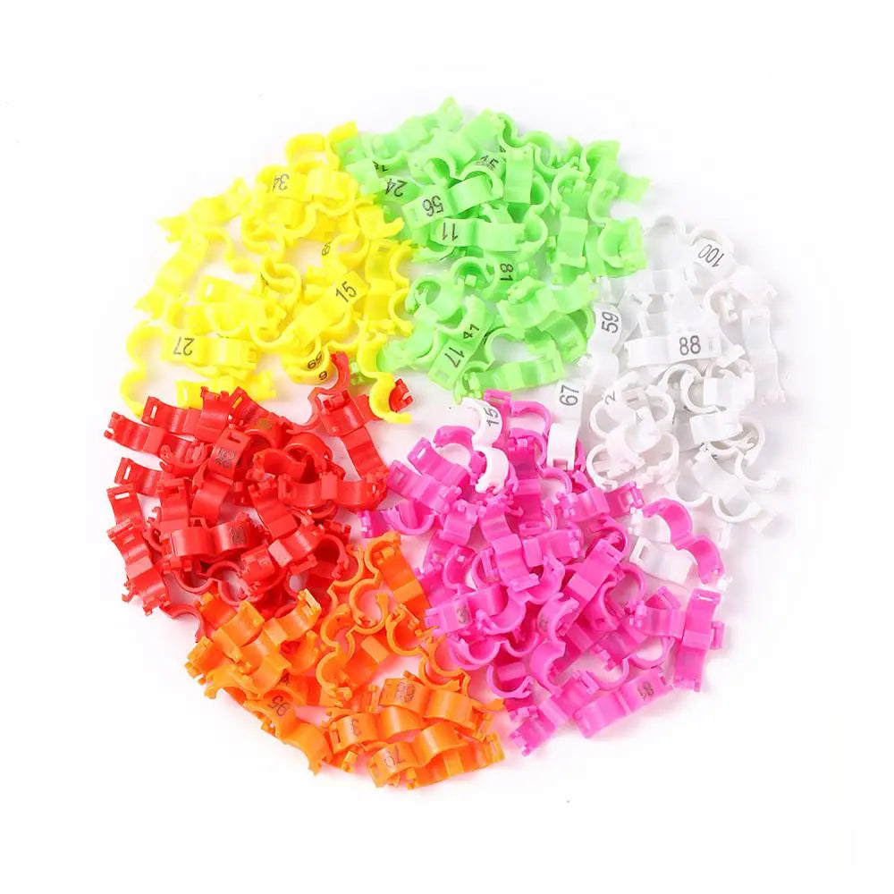 Assorted Bird Toys