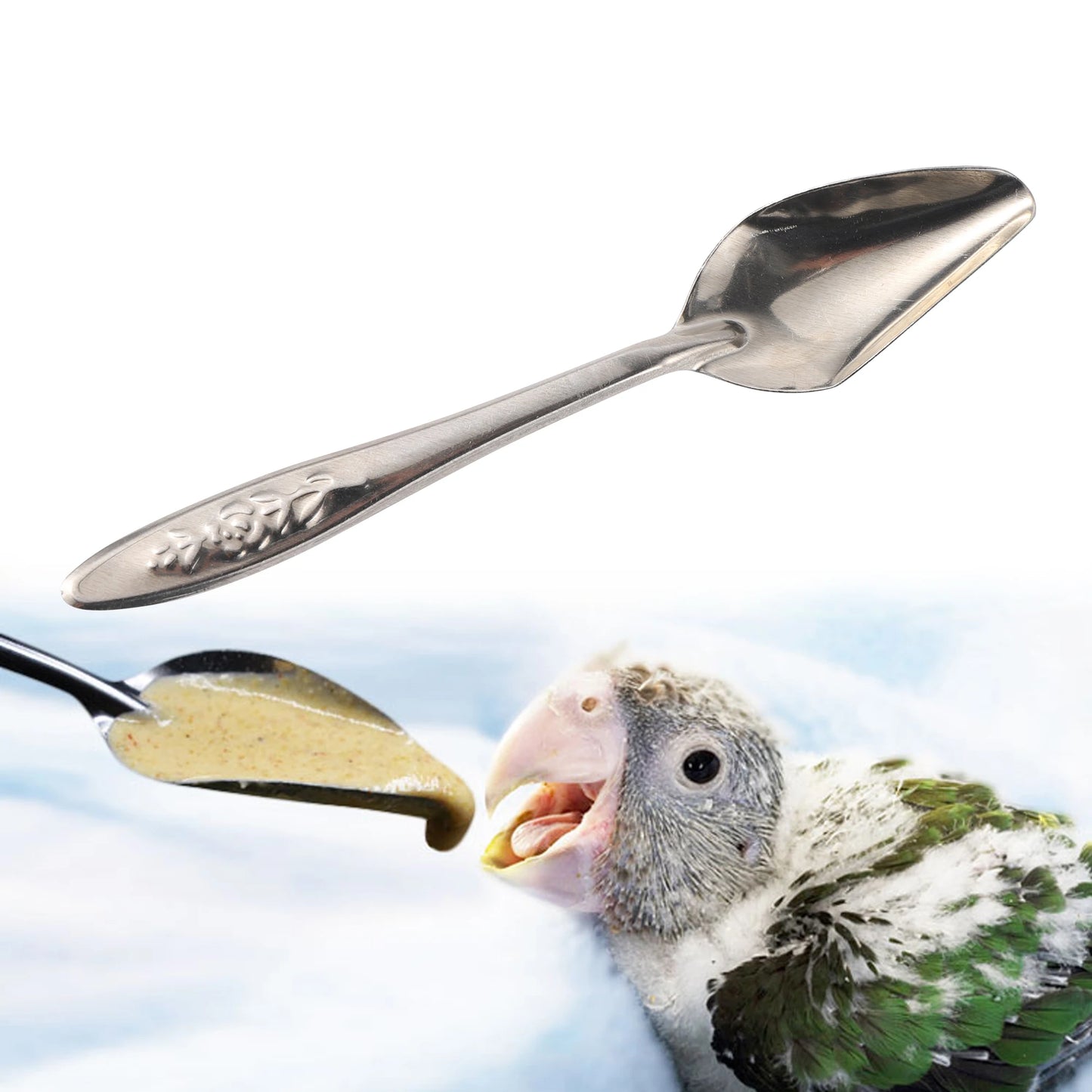 Assorted Bird Toys