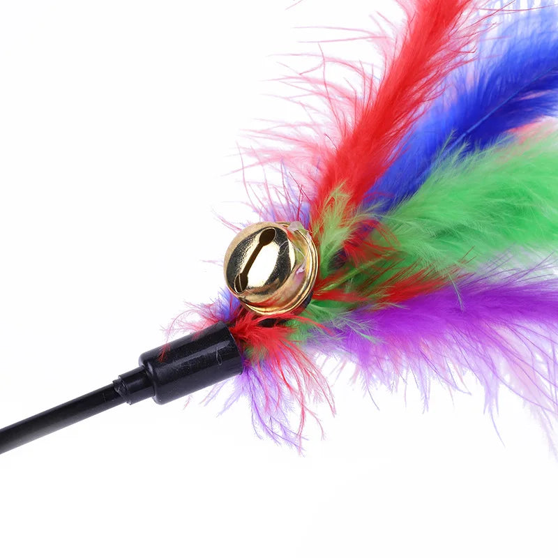 Cat Teaser Toy