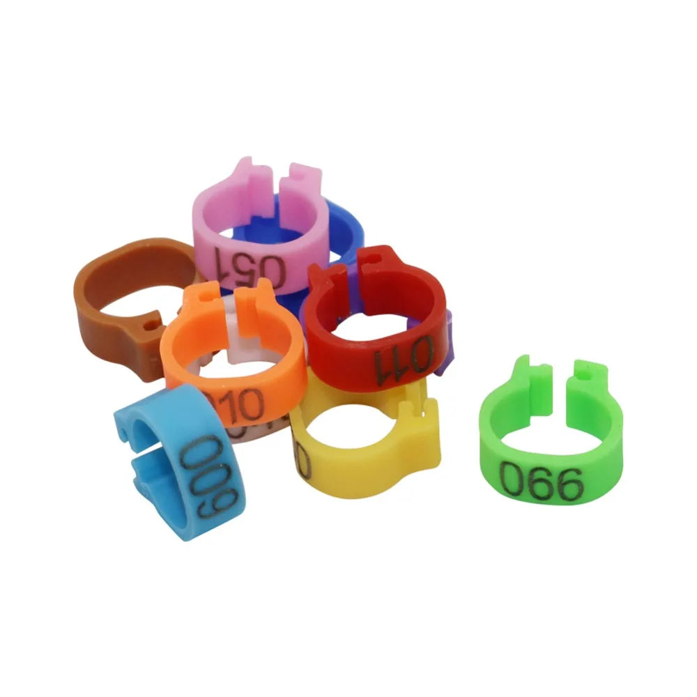 Assorted Bird Toys