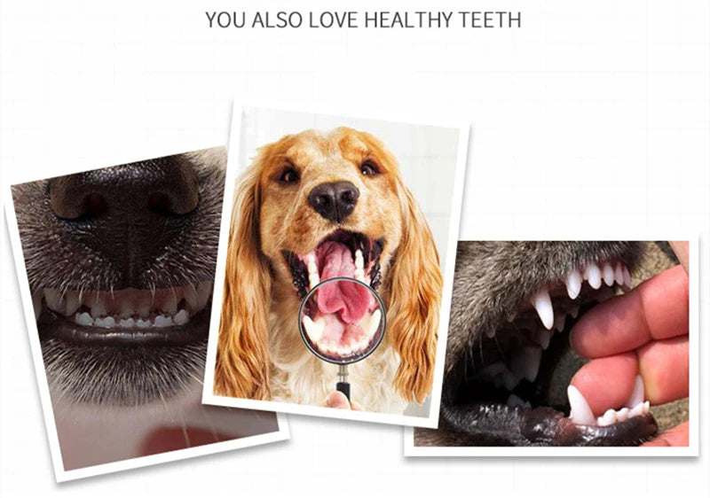 Soft Pet Finger Toothbrush - Dog Dental Cleaning Tool