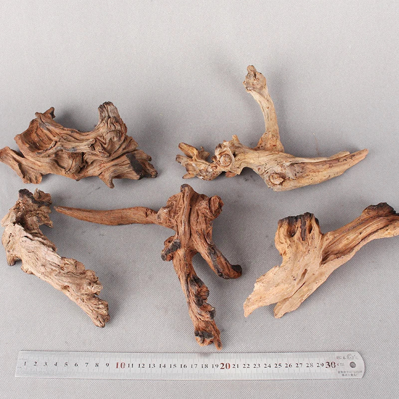 Natural Tree Driftwood