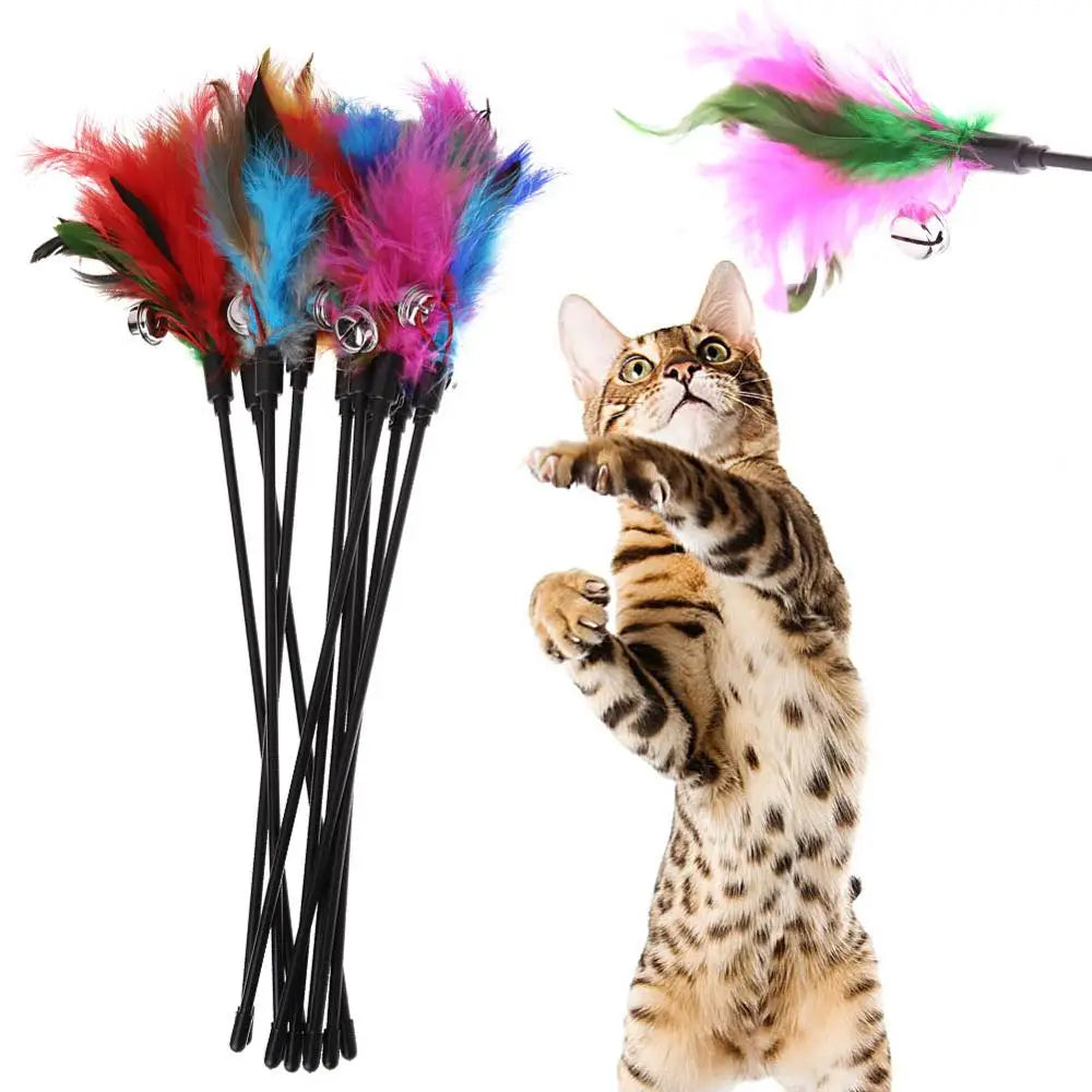 Cat Teaser Toy