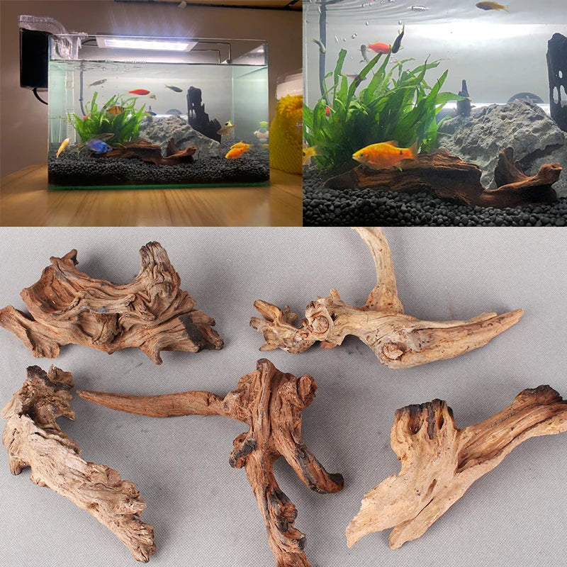 Natural Tree Driftwood