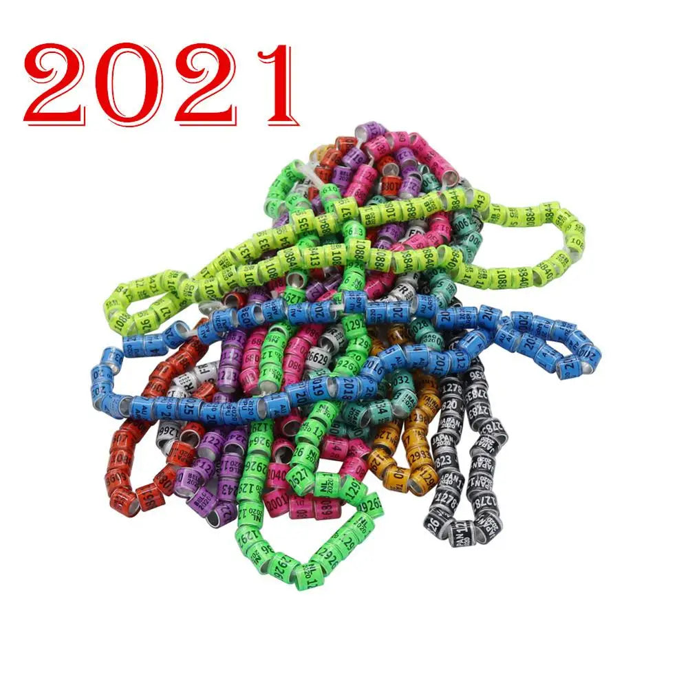 Assorted Bird Toys