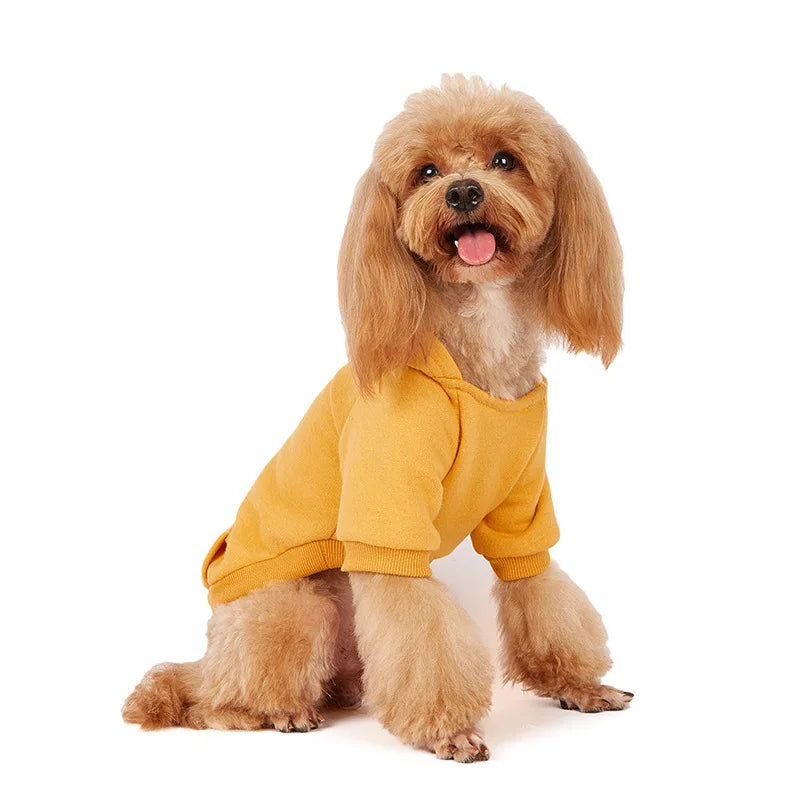 Winter Dog Clothes