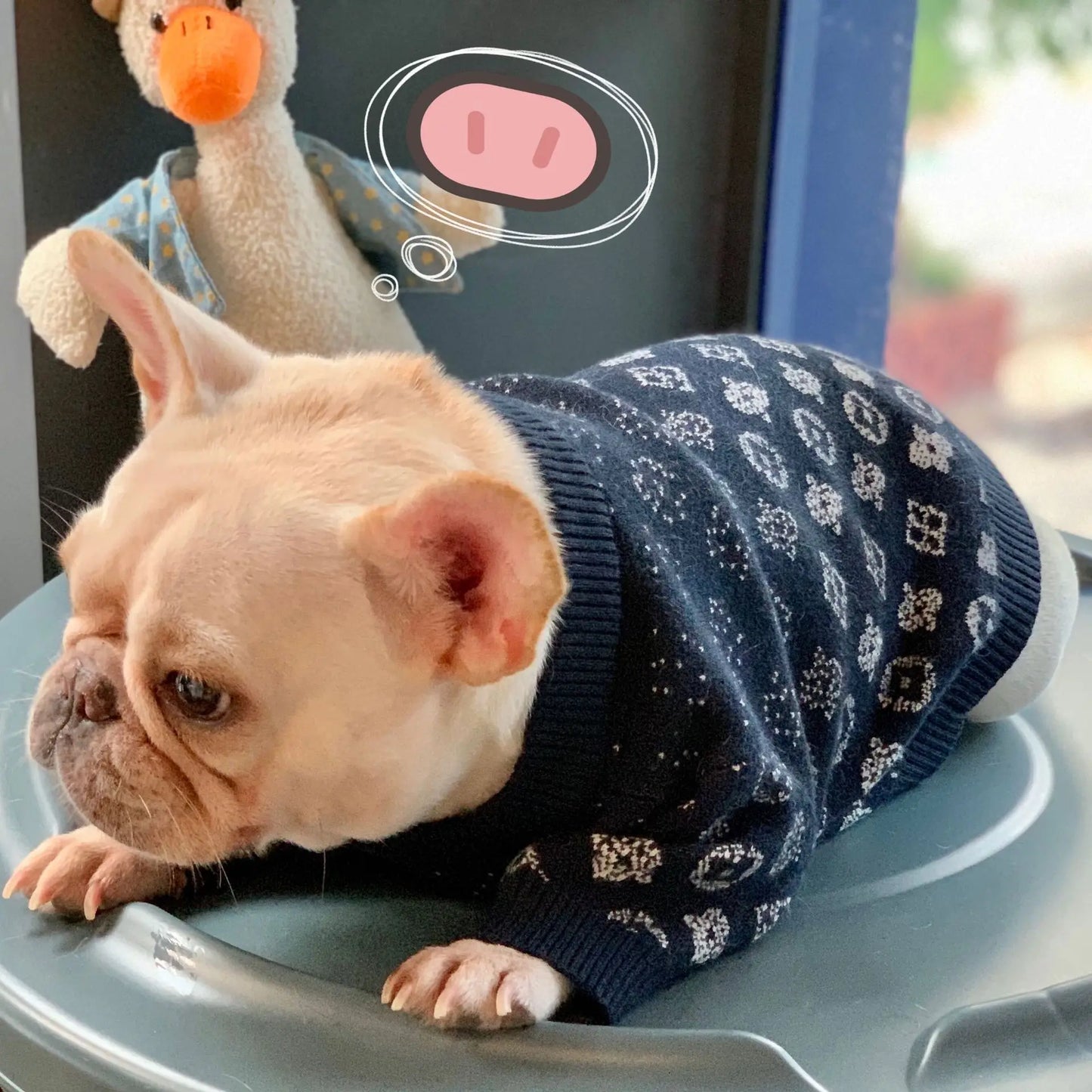 Luxury Winter Clothes For Small Dogs