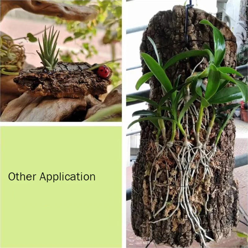 Tree Bark Terrarium Decoration
