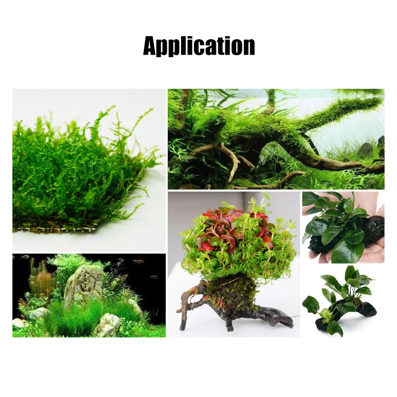 Moss Line/ Binding Line