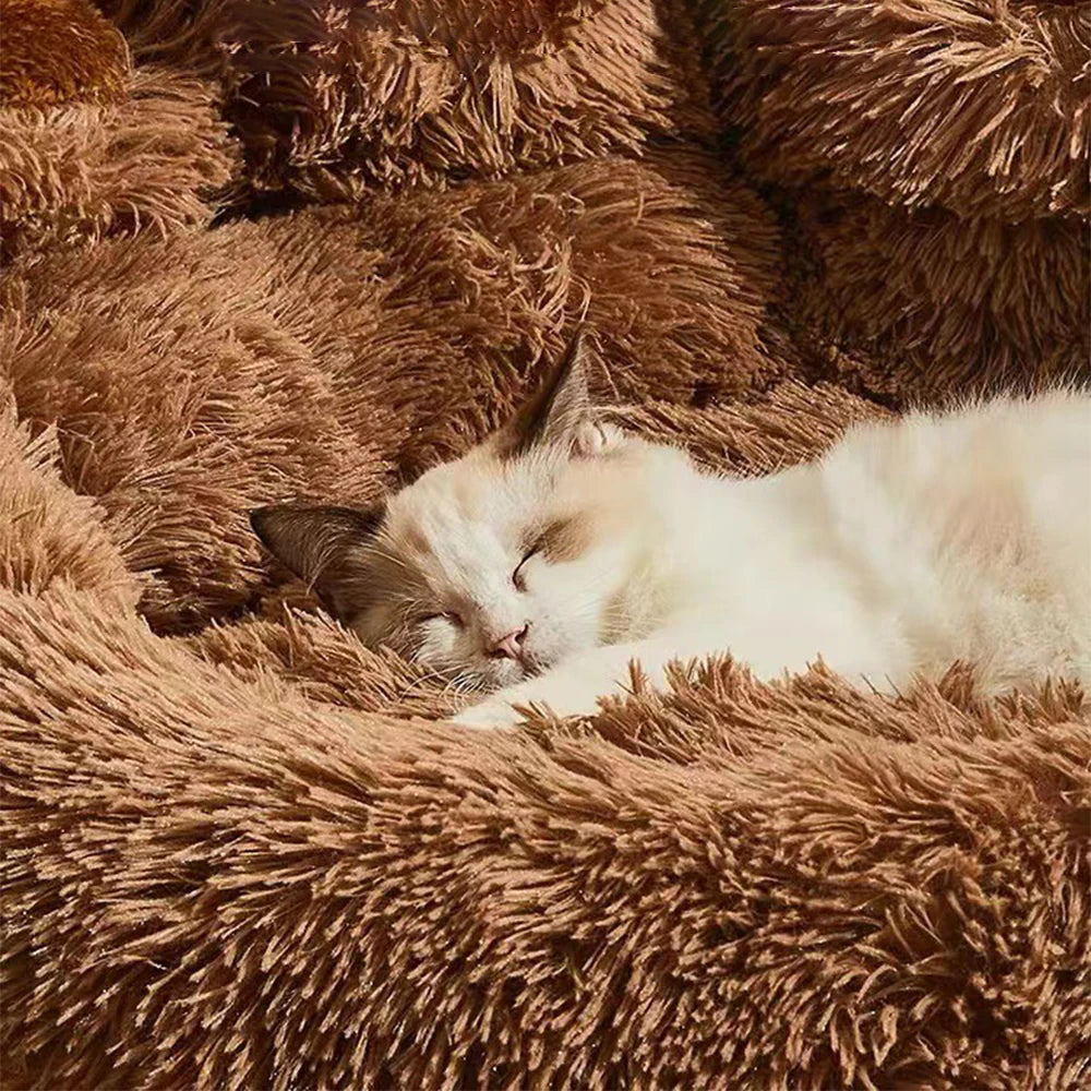 Plush Washable Pet Sofa Bed