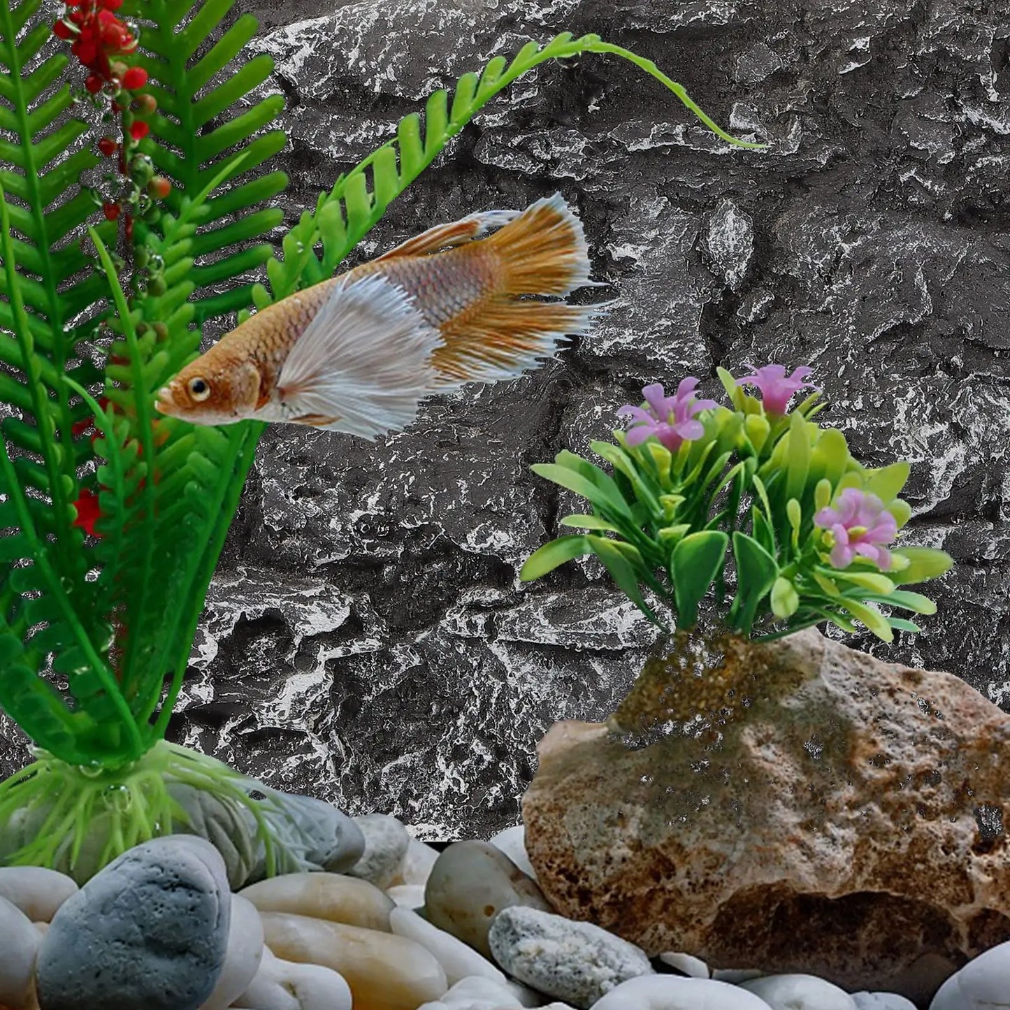 3D Aquarium Background