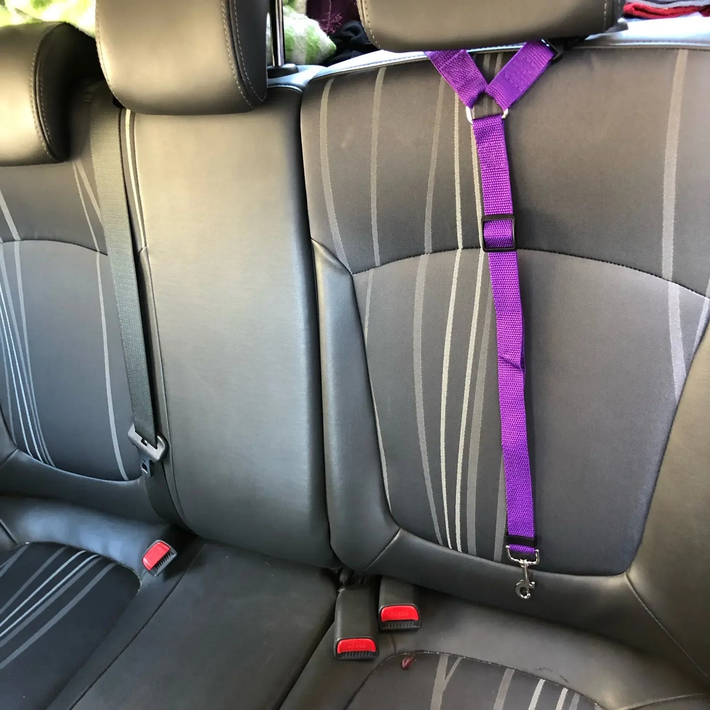 Pet Car Seat Belt and Harness Combo