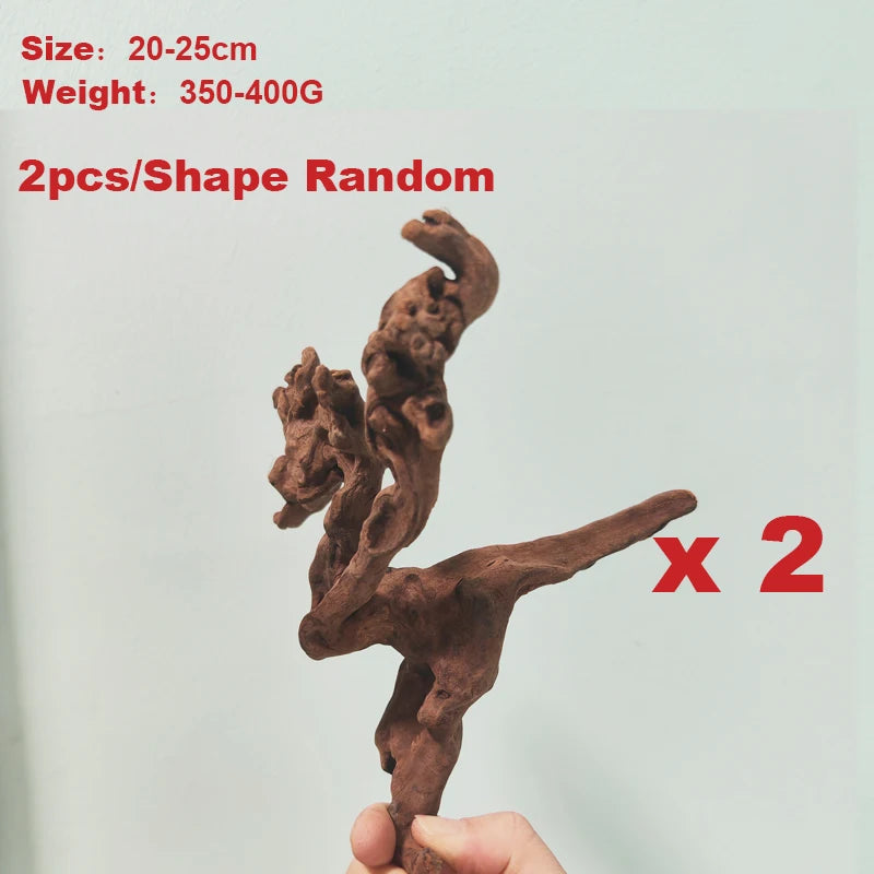 49048828739870