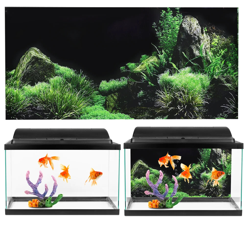 Aquarium Background