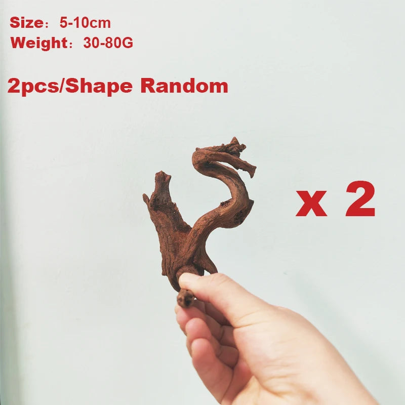49048812192030