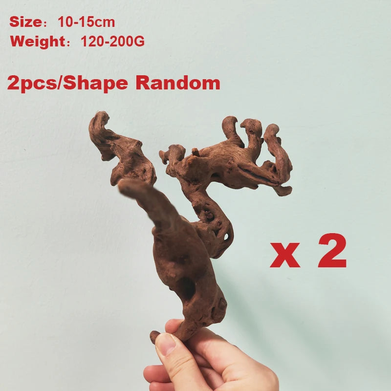 49048812257566