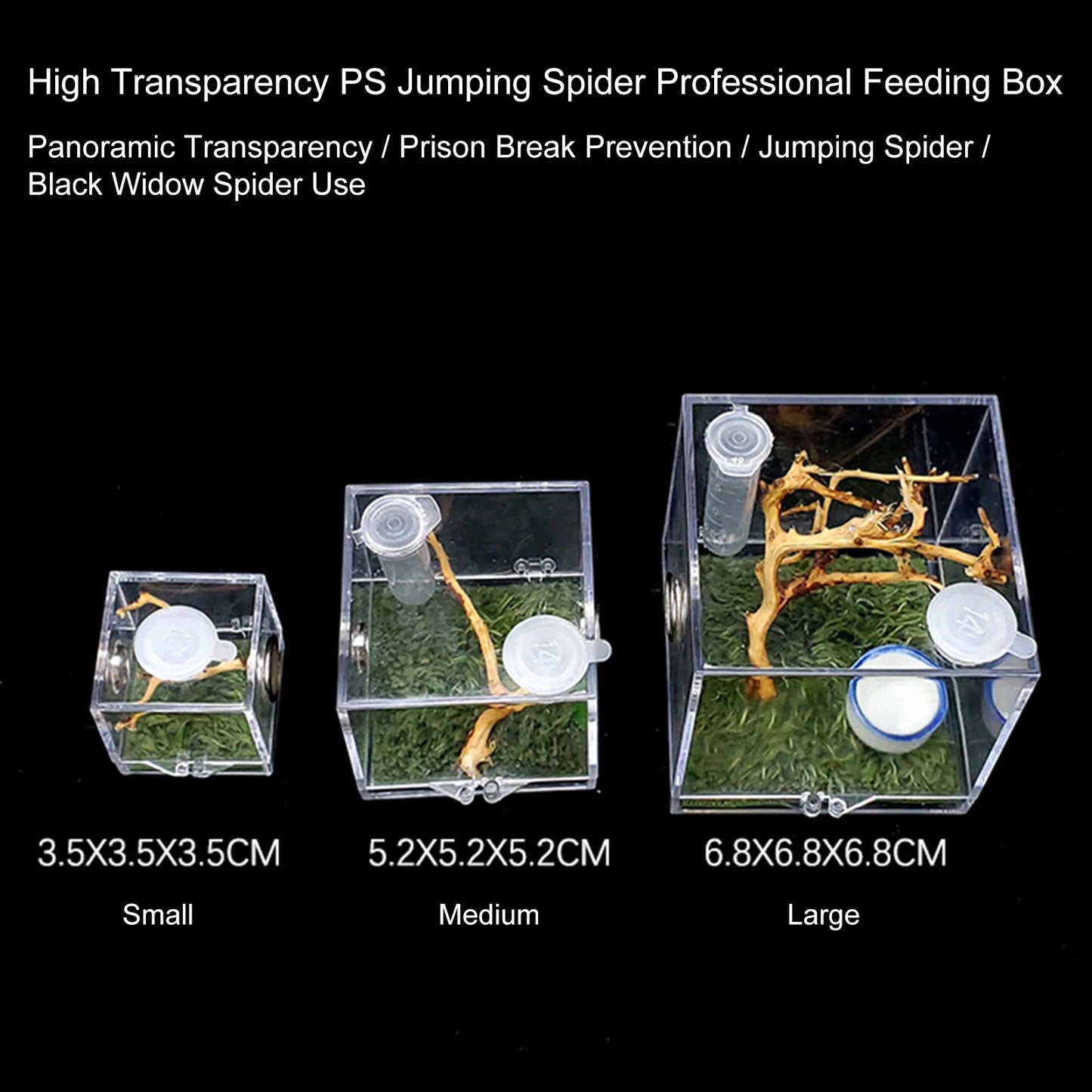 Small Clear Acrylic Habitat