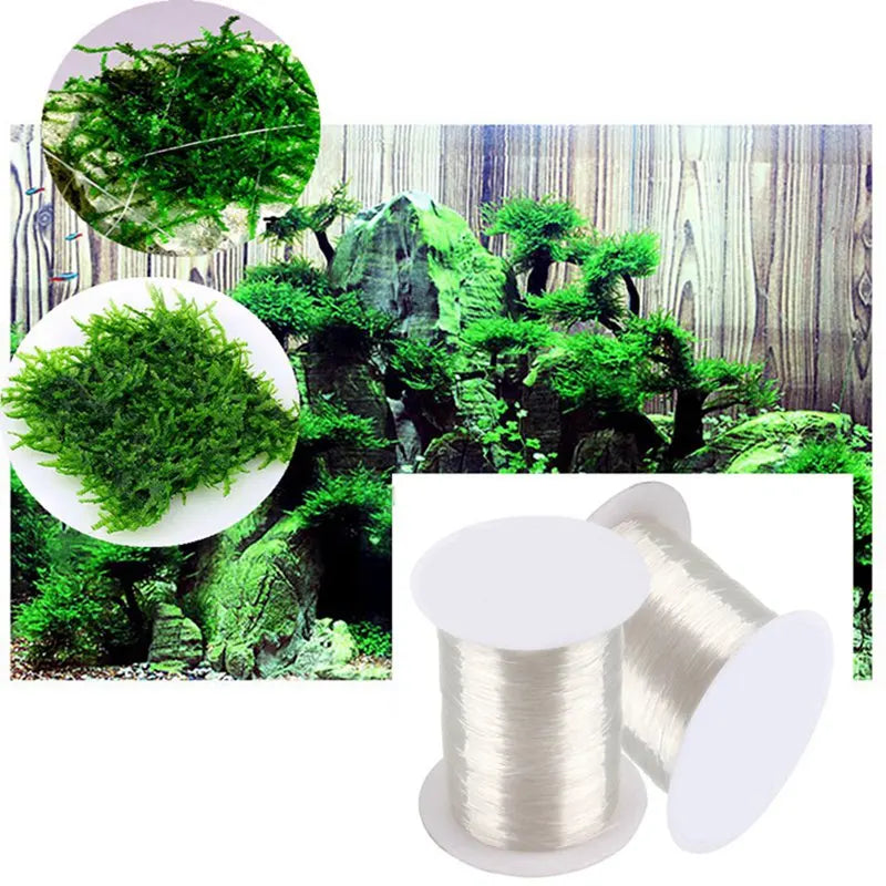 Moss Line/ Binding Line
