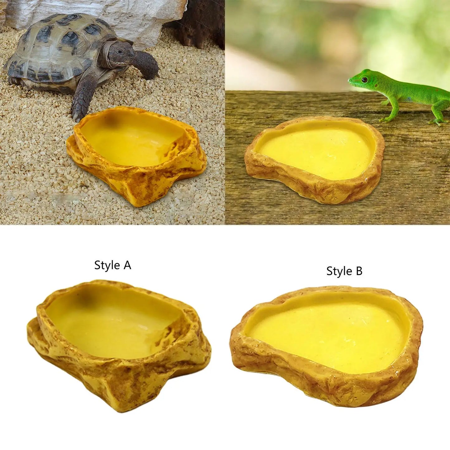 Reptile Feeding Bowl