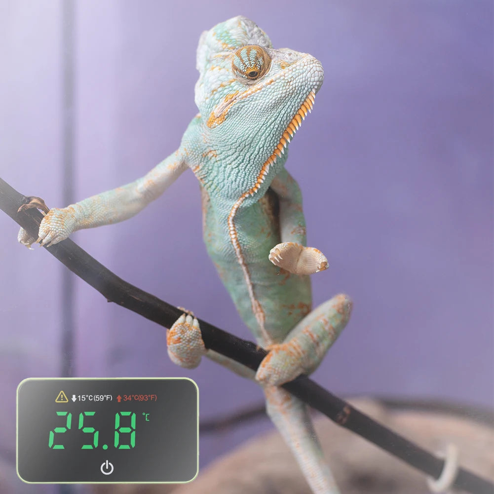 Digital Thermometer