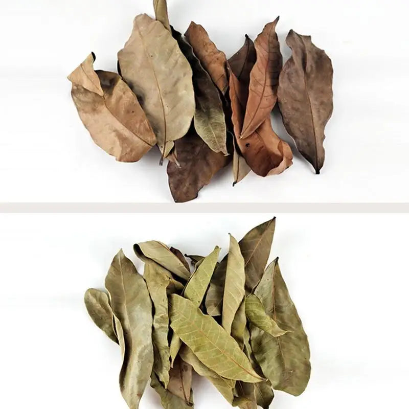 Multi-Purpose Aquarium Dried Leaf Decor