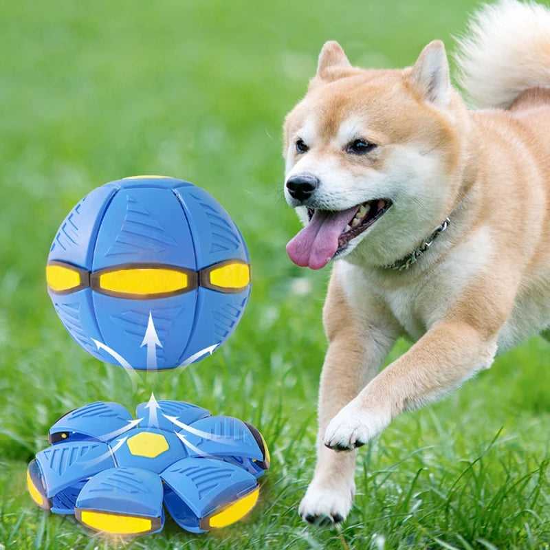 Dog Saucer Ball