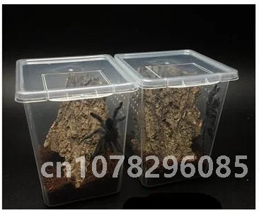 Reptile Feeding Box & Insect Breeding Container