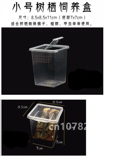 Reptile Feeding Box & Insect Breeding Container