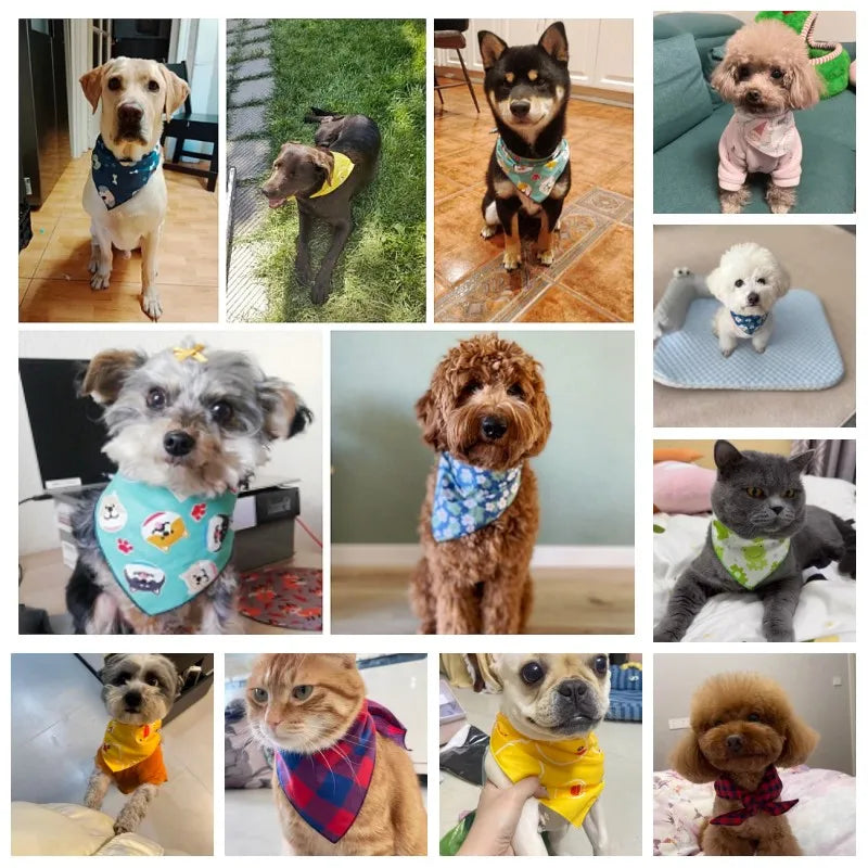Soft Flower Pattern Pet Triangle Bandana