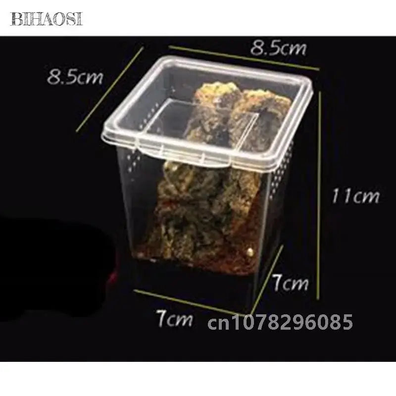 Reptile Feeding Box & Insect Breeding Container