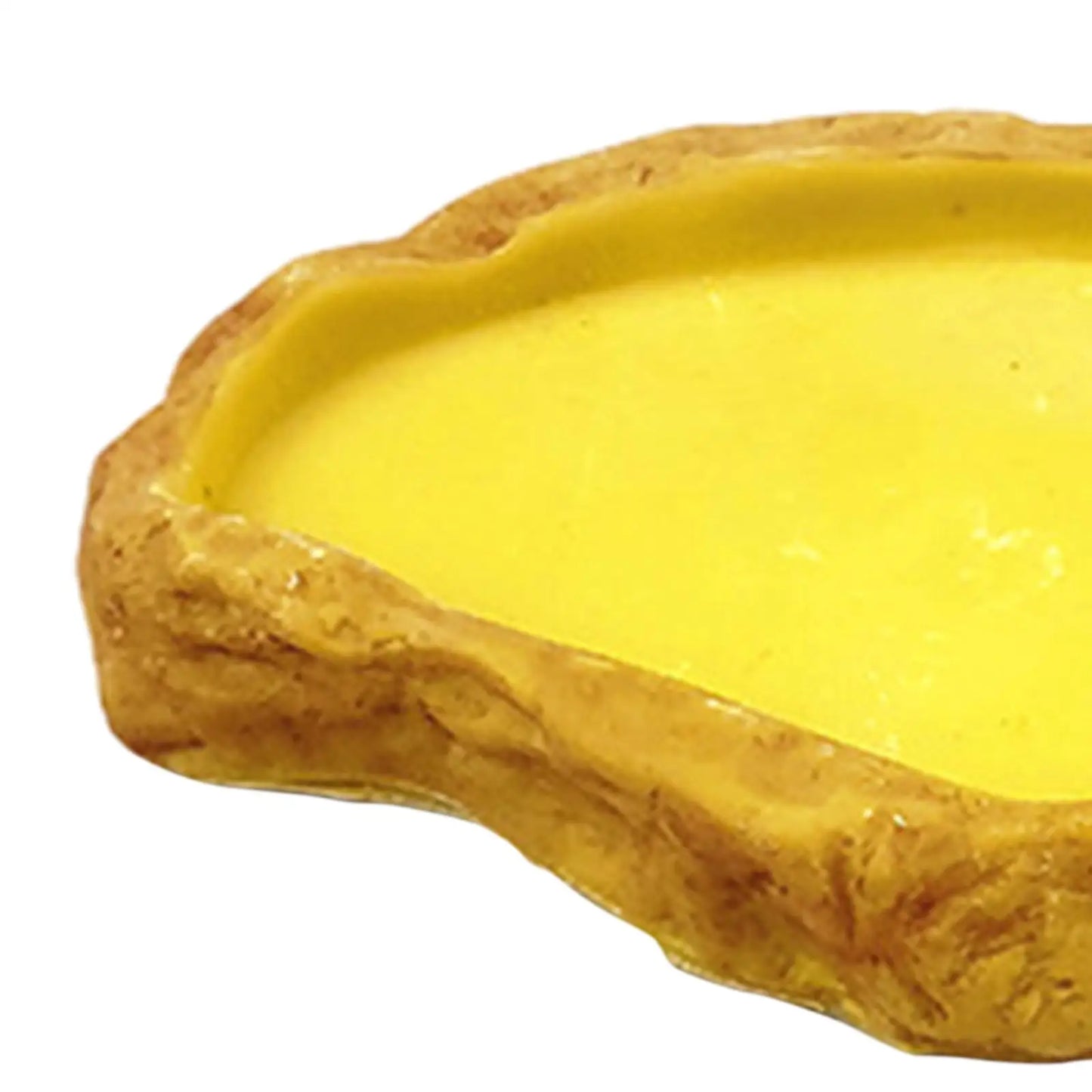 Reptile Feeding Bowl