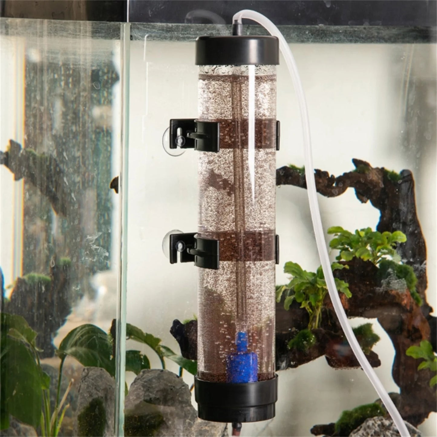 Brine Shrimp Incubator