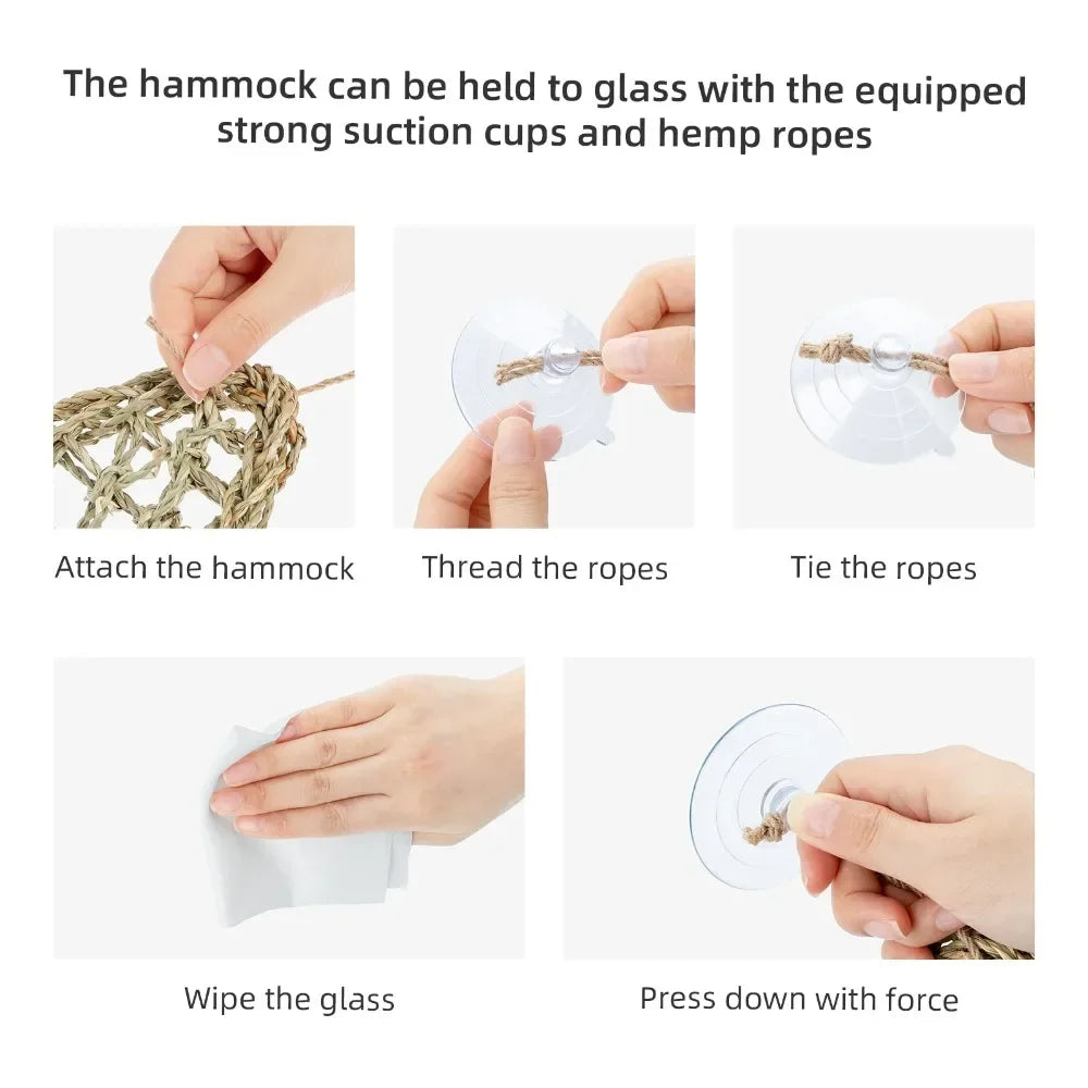 Reptile Hammock