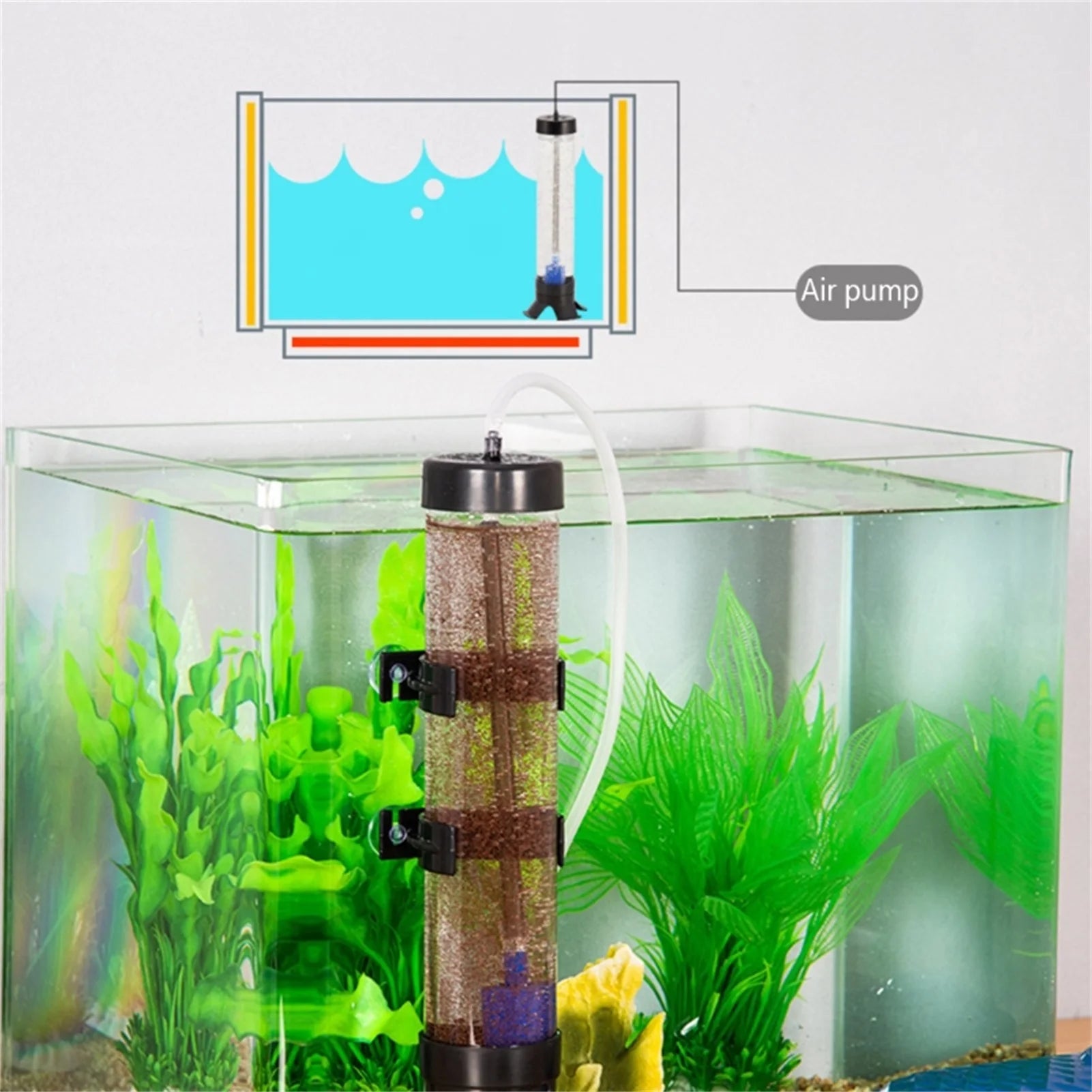 Brine Shrimp Incubator