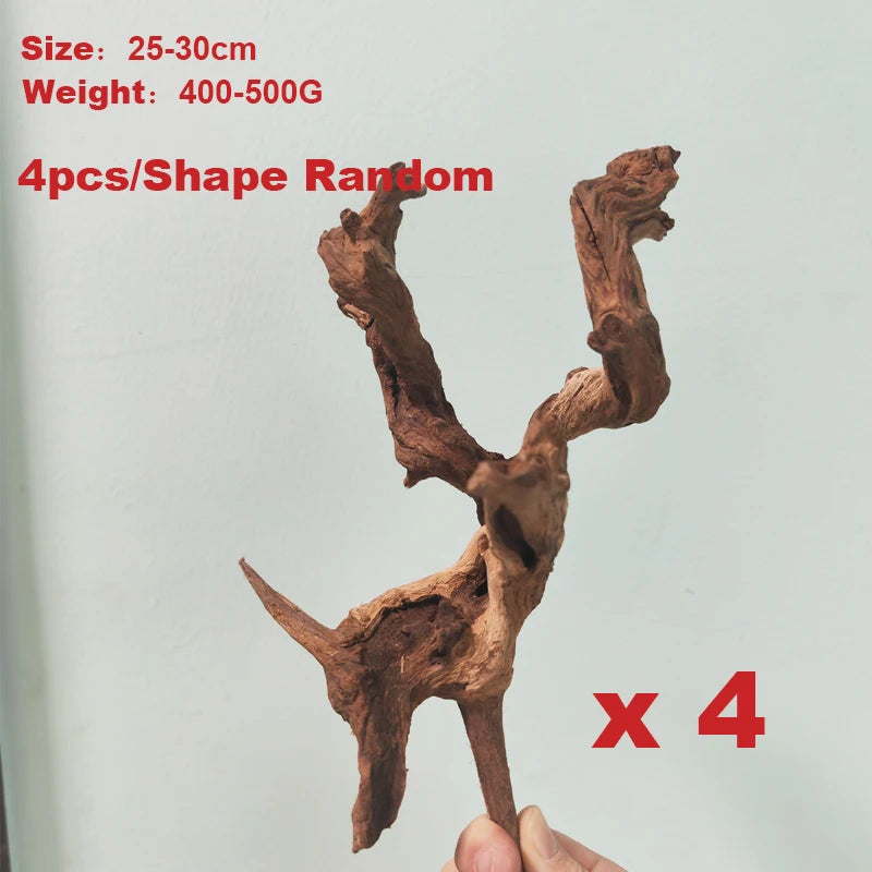 49048812421406