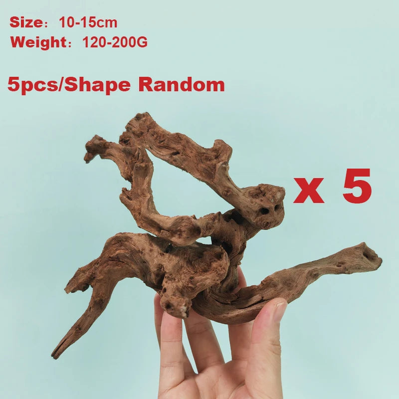 49048828444958