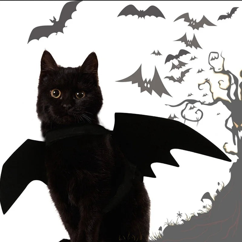 Halloween Pet Costume Black Bat Wings Harness