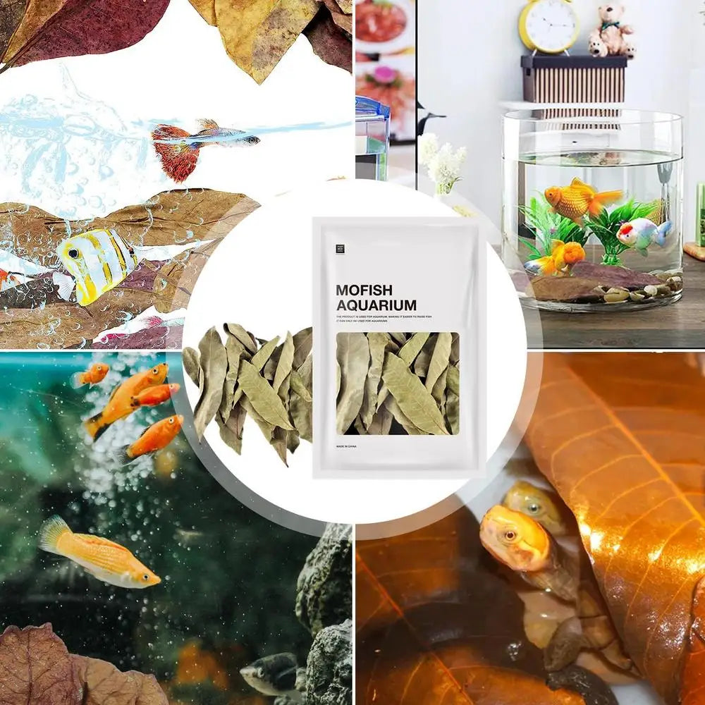 Multi-Purpose Aquarium Dried Leaf Decor
