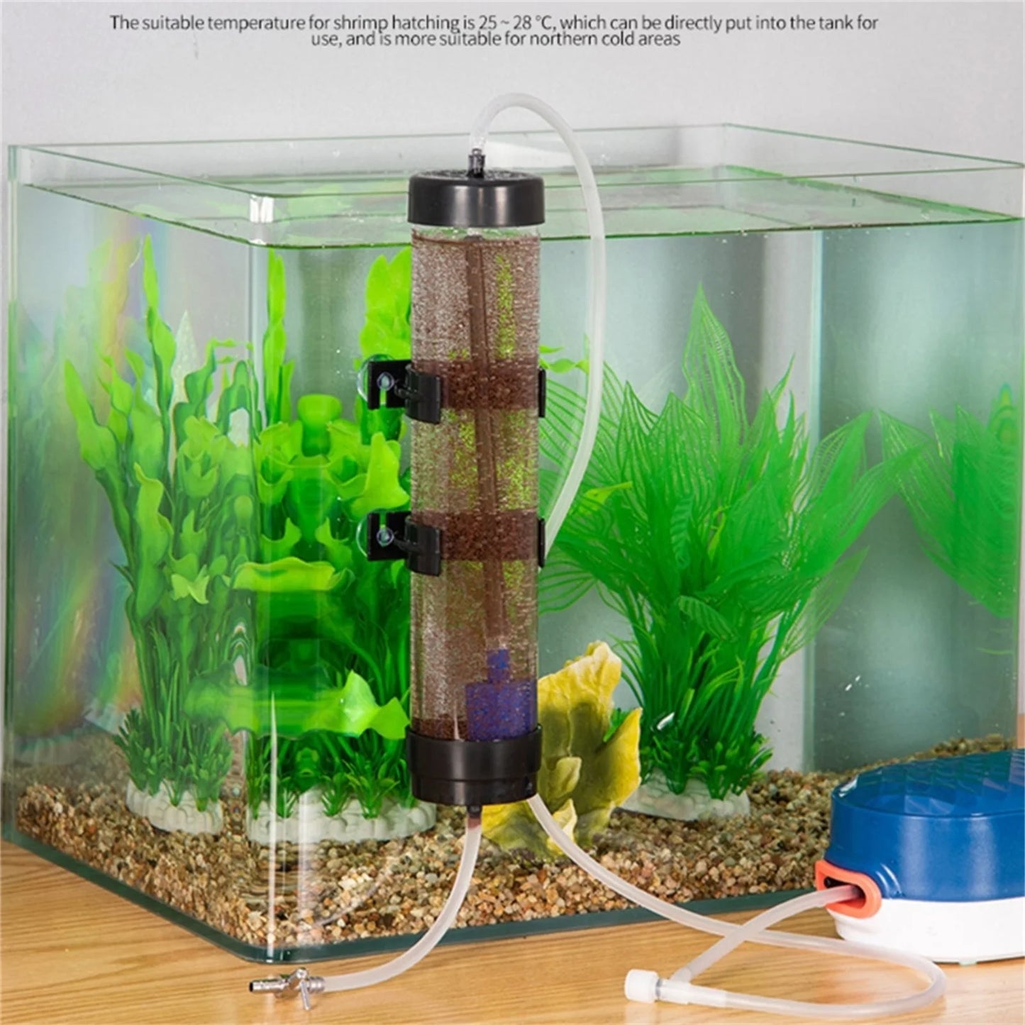 Brine Shrimp Incubator
