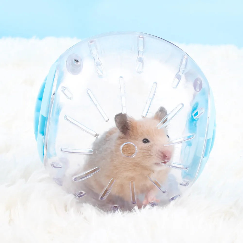 Hamster Gerbil Exercise Ball