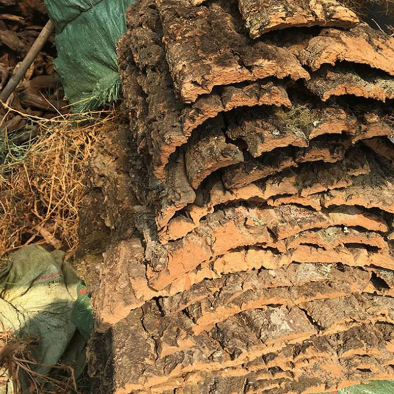 Tree Bark Terrarium Decoration