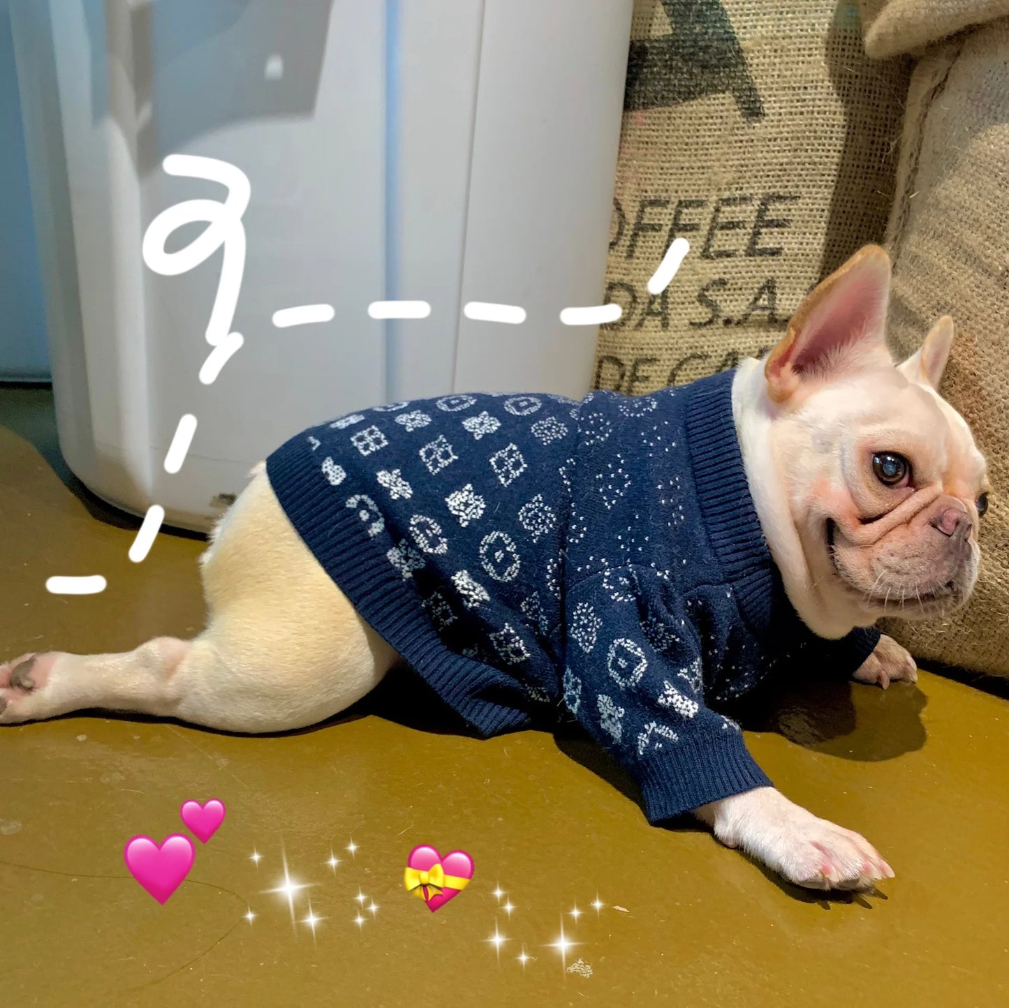 Luxury Winter Clothes For Small Dogs