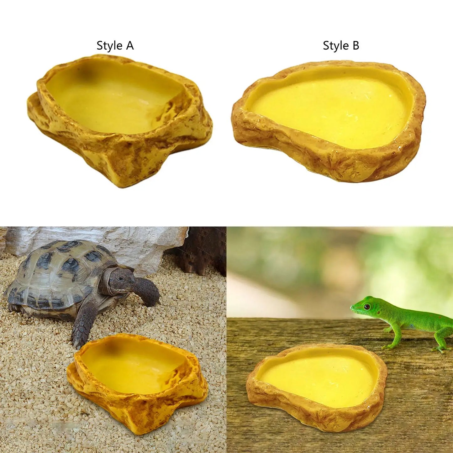 Reptile Feeding Bowl