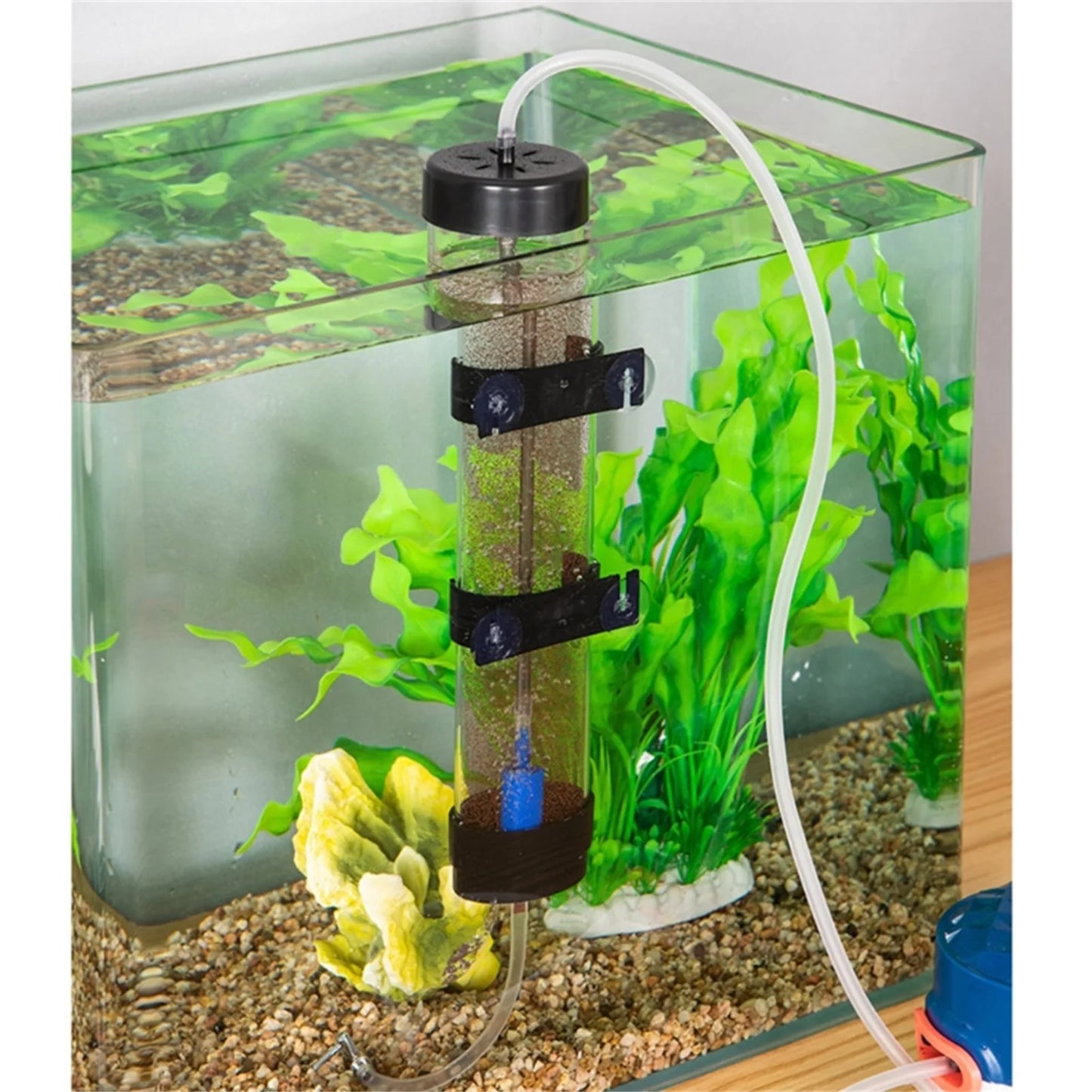 Brine Shrimp Incubator