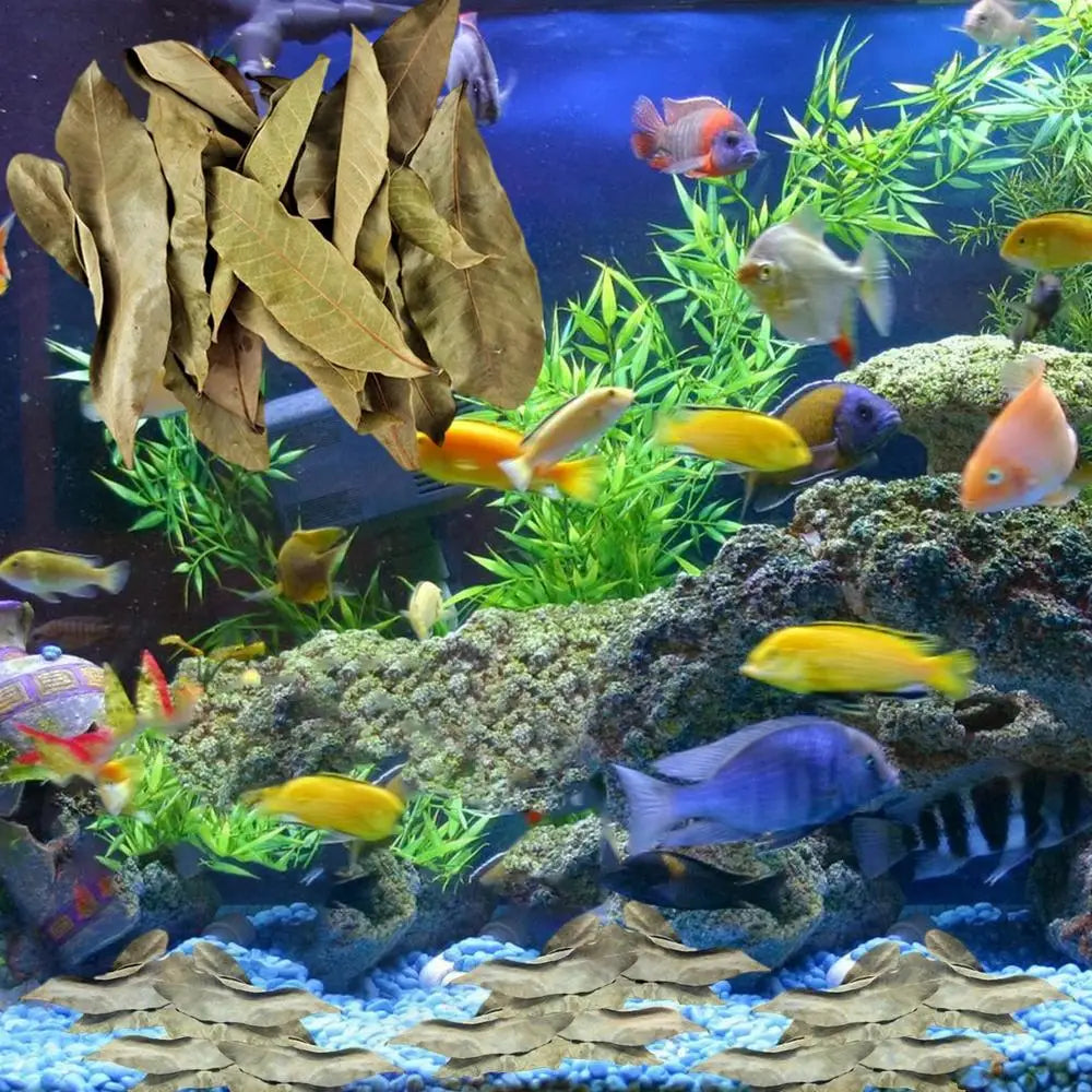 Multi-Purpose Aquarium Dried Leaf Decor