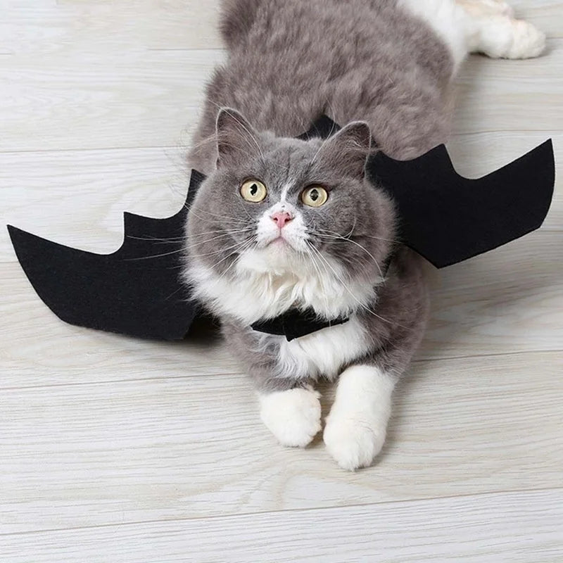 Halloween Pet Costume Black Bat Wings Harness