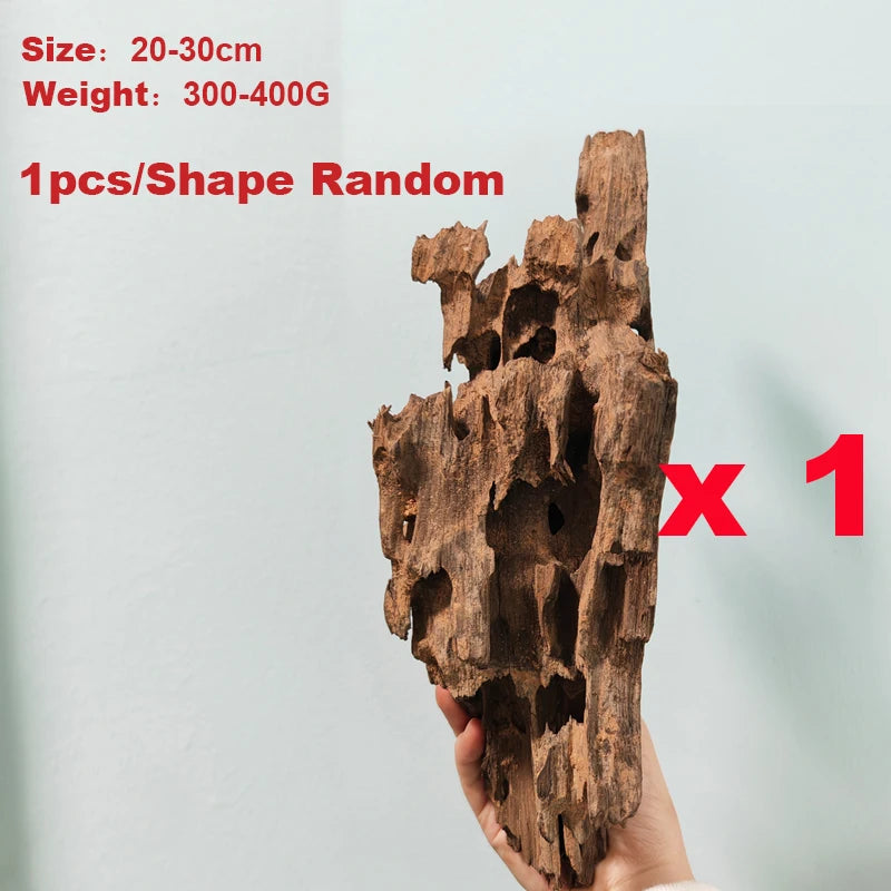 48901900140830