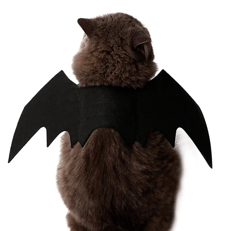 Halloween Pet Costume Black Bat Wings Harness
