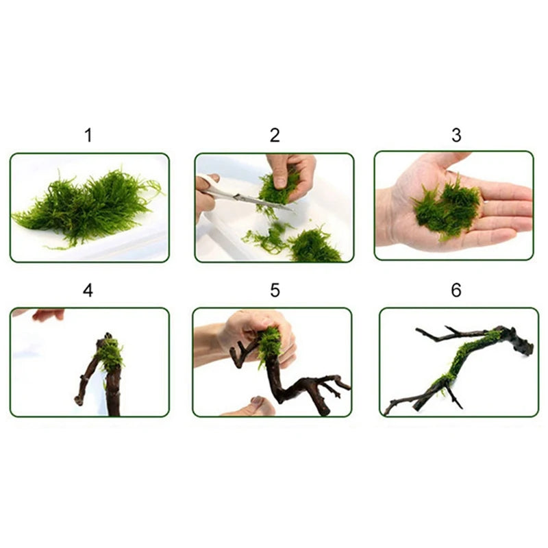 Moss Line/ Binding Line