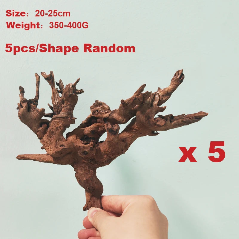 49048812290334